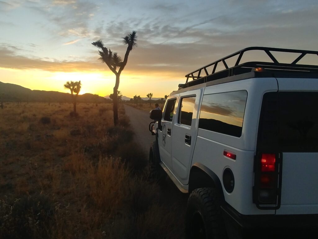 joshua tree van tour