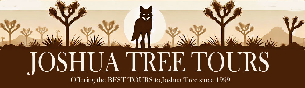 Joshua Tree Tours logo